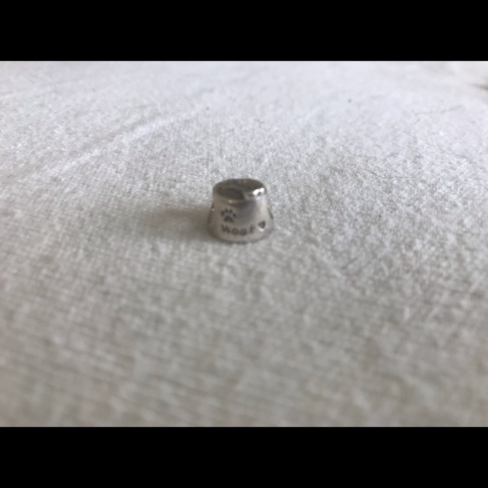 Pandora charm